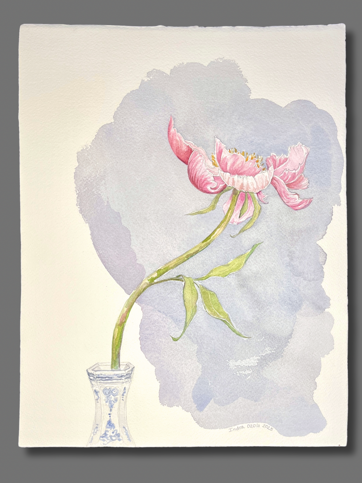 Single Peony, Framed