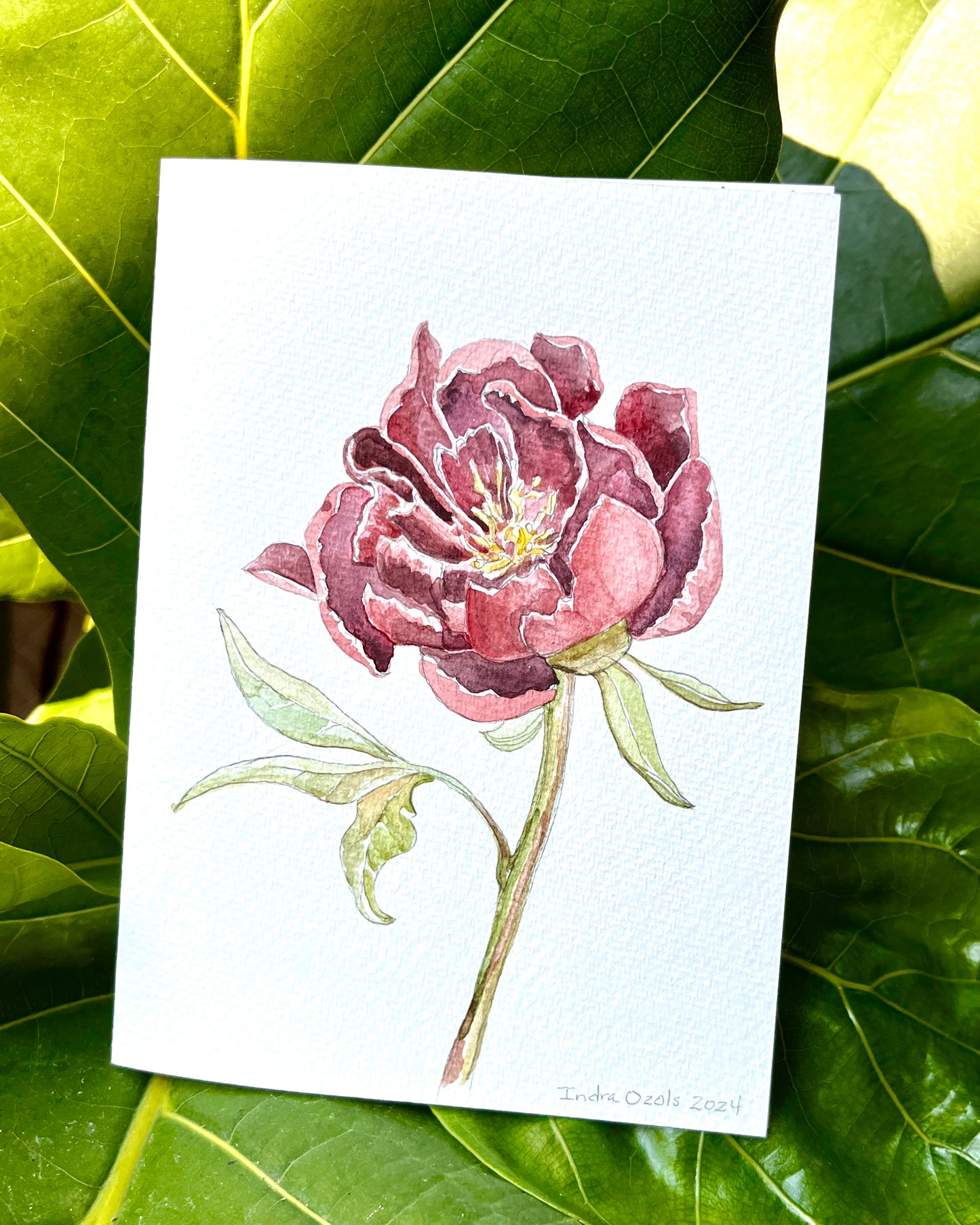 Hand Painted Stationery-12 Cards with Envelopes
