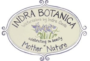 Indra Botanica