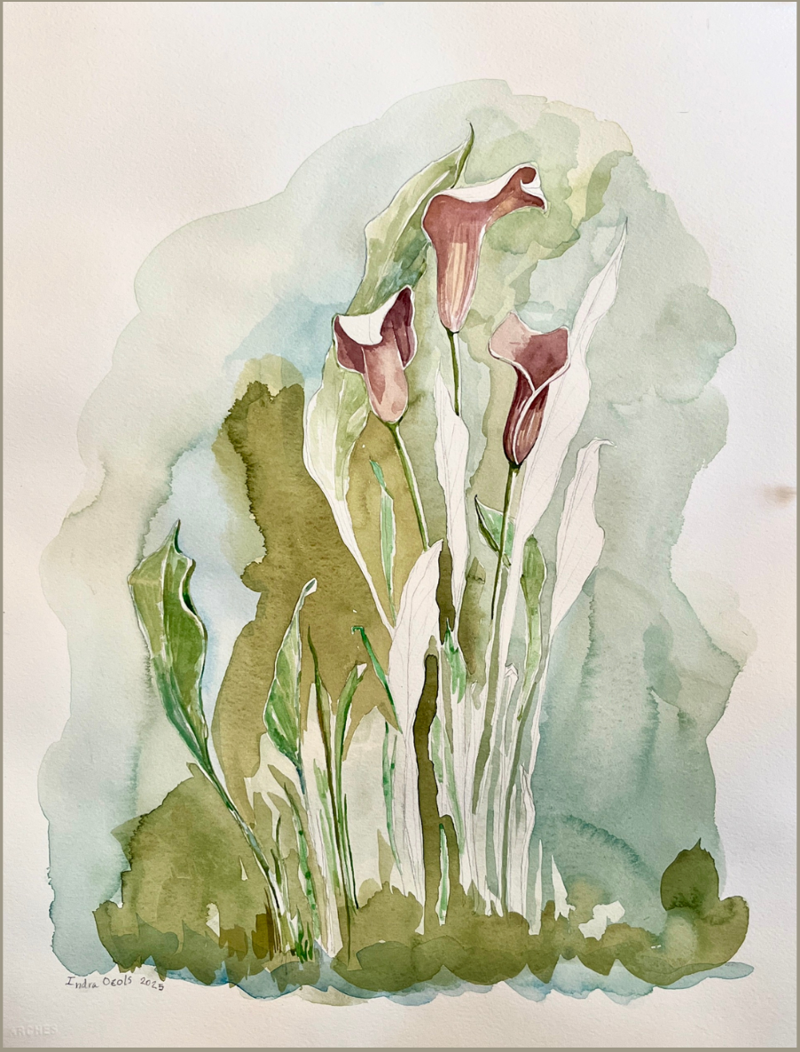 A watercolor painting of calla lilies, featuring soft green and dusty pink tones 