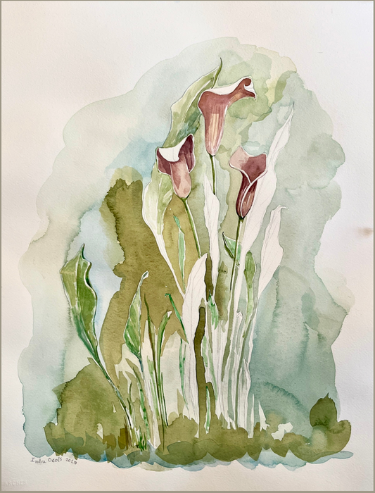 A watercolor painting of calla lilies, featuring soft green and dusty pink tones 