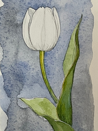 White Tulip