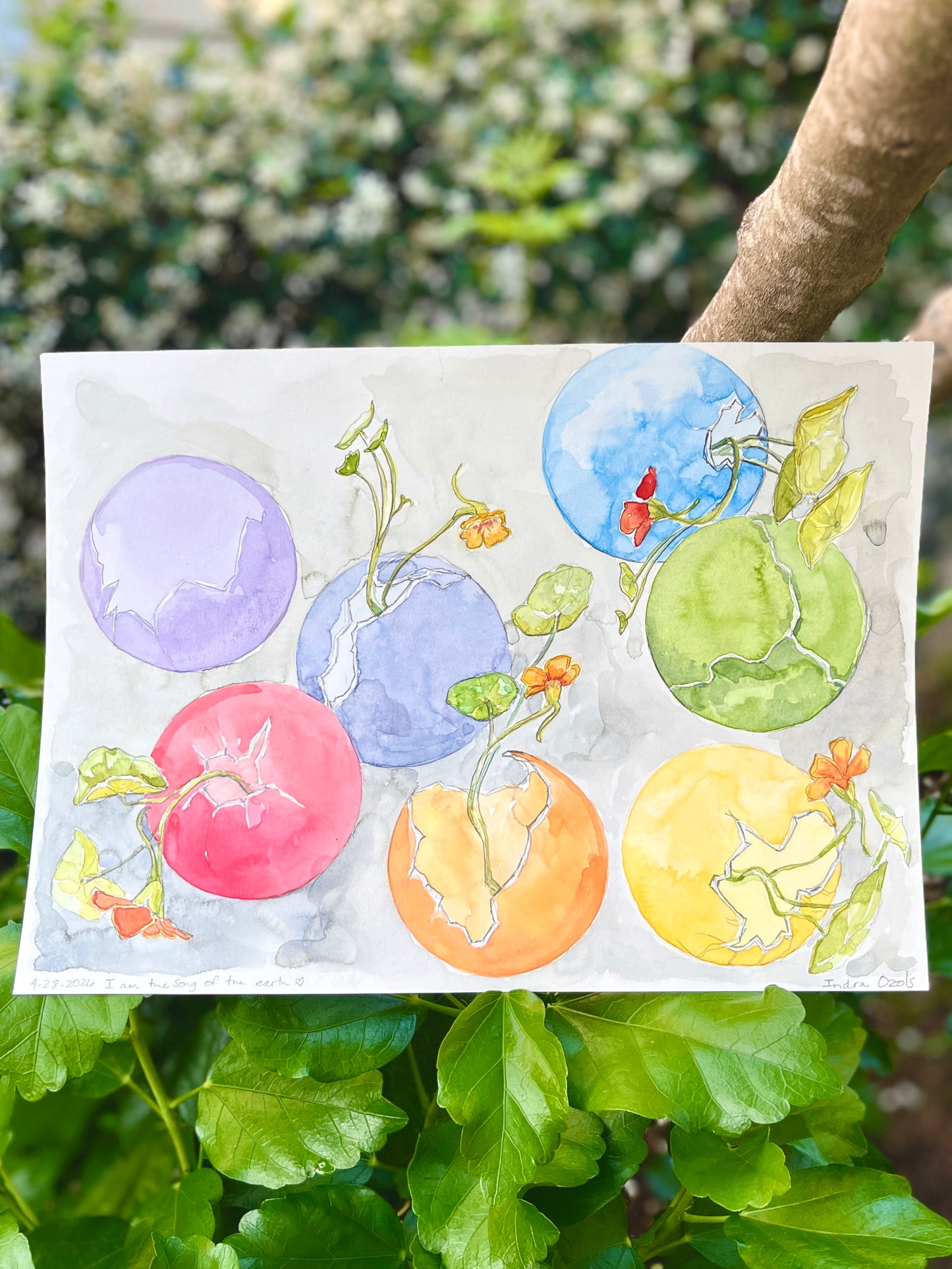 Growth and Expansion