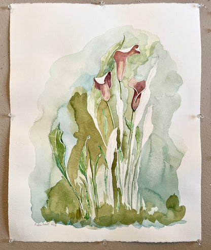 Burgundy Calla Lilies
