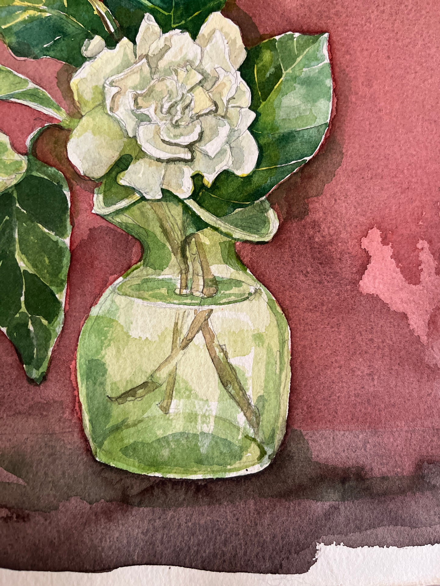 Gardenia in Green