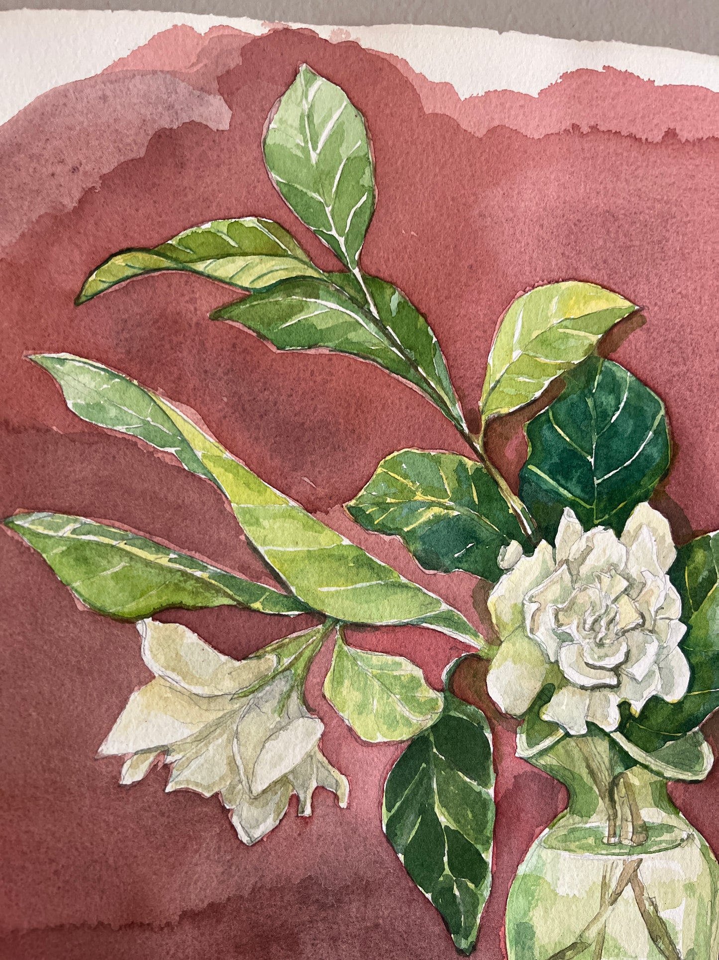 Gardenia in Green