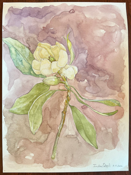 Sweet Bay Magnolia Original Watercolor