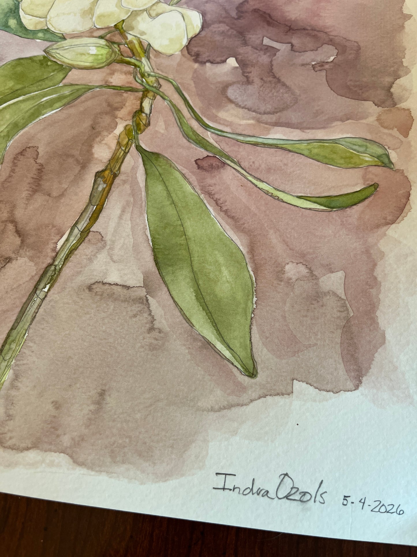 Sweet Bay Magnolia Original Watercolor