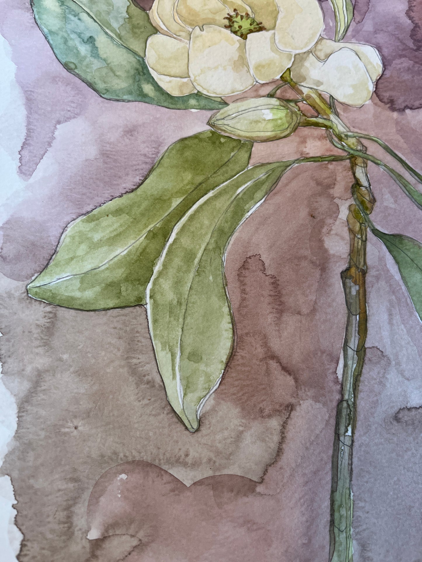 Sweet Bay Magnolia Original Watercolor