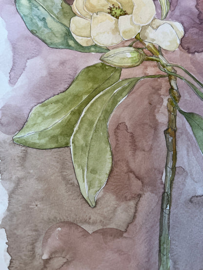 Sweet Bay Magnolia Original Watercolor