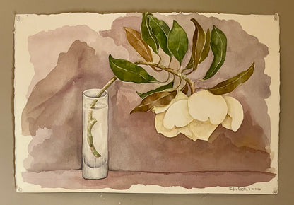 Southern Magnolia