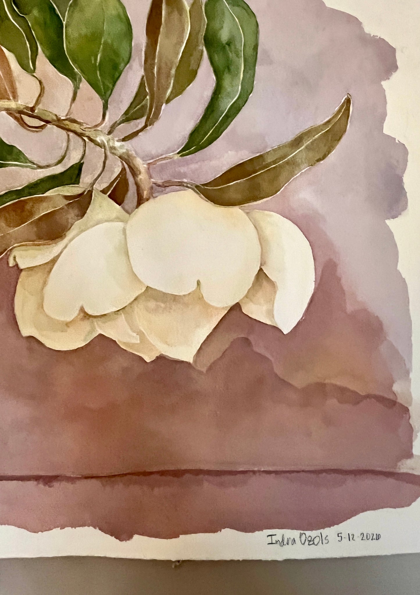 Southern Magnolia