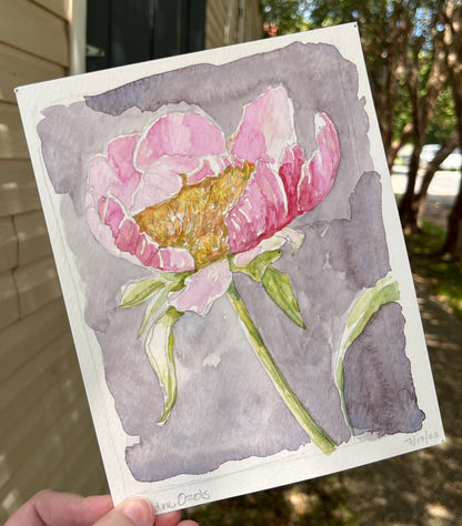 Peony