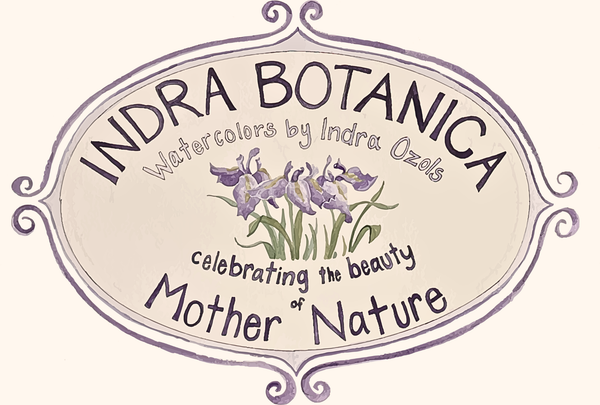 Indra Botanica