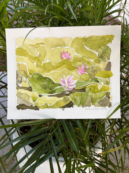 Lily Pads