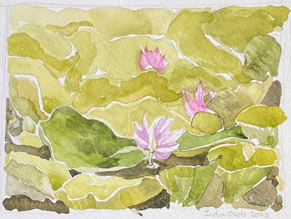 Lily Pads