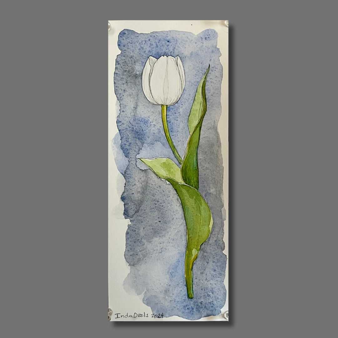 White Tulip