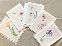 Load image into Gallery viewer, Hand Painted Stationery- 6 Cards with Envelopes
